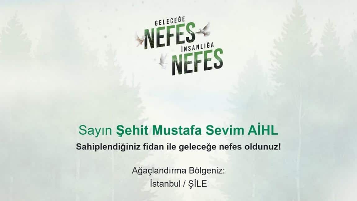 11 Kasım Millî Ağaçlandırma Gününde Geleceğe Nefes, İnsanlığa Nefes Olduk